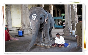 Meenakshi Temple, Madurai